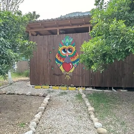 Truva アンタルヤ