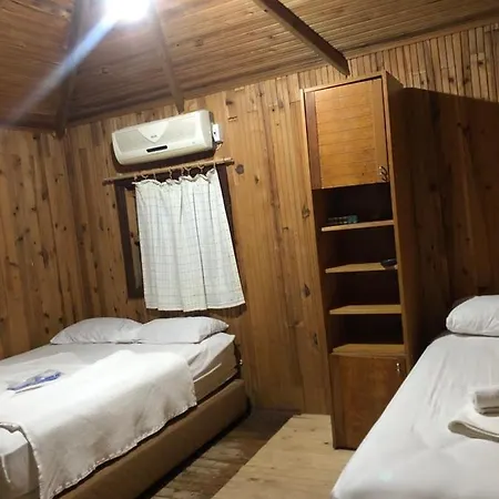 Truva Homestay *
